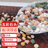 悠梵萌鱼缸底砂造景石五彩石溪流石水族箱龟缸多肉盆栽装饰石子5斤6-9mm