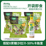 一号农场即食蔬菜沙拉田园风情120g*3益生菌羽衣甘蓝沙拉酱280g*1源头直发