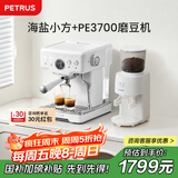 柏翠(petrus)咖啡机意式浓缩家用小型半自动蒸汽打奶泡 海盐小方PE3833+PE3700