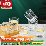 青苹果耐热玻璃水杯咖啡杯220ml6只 家用冰川锤纹茶杯洋酒杯啤酒杯