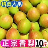 精选红香酥梨新鲜水果当季薄皮特级香梨青皮酥梨脆蜜雪梨整箱包邮 试吃小果净重3斤