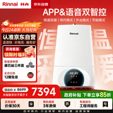林内（Rinnai）燃气壁挂炉【国家补贴15%】 WIFI语音双智控【超二级能效】生活热水家用地暖采暖锅炉L1PB27-24C39