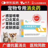 芸灵宠物消炎药头孢羟氨苄12片狗狗猫咪泌尿感染呼吸肠胃皮肤病外伤