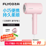 飞科（FLYCO）负离子电吹风机家用大功率冷热风恒温护发吹风筒FH6291