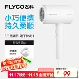 飞科 FLYCO 电吹风机宿舍用 柔风负离子恒温护发 家用冷热大风量快速干发吹风筒FH6290 1800W