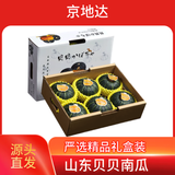 京地达山东贝贝南瓜净重4.5斤精选礼盒装 5-6个瓜 爆粉爆面源头直发包邮