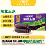 十月稻田 黑糯玉米 3.52斤（220g*8根）东北紫玉米 早餐零食 低脂饱腹