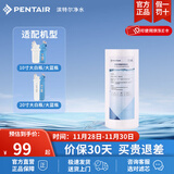 滨特尔（pentair） 全屋净水器家用大蓝瓶大流量大白瓶大胖瓶通用滤芯 10寸大胖PP棉滤芯