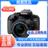 佳能/Canon 500D 600D 700D 800D 850D学生入门拍照摄像高清旅游 二手单反相机 95新 佳能800D/18-135 套机 标配