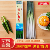 京地达正宗山东章丘大葱 10斤礼盒1.5米高新鲜蔬菜产地直发包邮