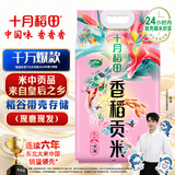 十月稻田 香稻贡米 东北大米 10斤（香米 粳米 5公斤/十斤）