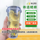 品云美宠白蟋蟀活体爬宠蜥蜴守宫鬃狮蜘蛛活食饲料(不拍加热包不包活） 【奶茶杯装】白蟋蟀1-2cm 50只
