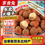 享食兔东北特产手拍熟大榛子铁岭2025新果原味薄壳坚果炒货干果年货500g