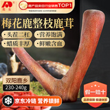 敖东梅花鹿鲜鹿茸整枝230克-240g新鲜带血头茬二杠煲汤泡酒源头直发