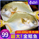 东上御品 国产 新鲜冷冻海鱼国产大号金鲳鱼净重500-600g/条*3条-源头直发