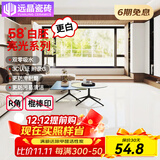 远晶800x800天鹅绒瓷砖58度超白胚客厅地砖卫生间厨房墙砖奶油风广东 58°超白胚-亮光-纯白 800x800