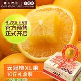 云冠橙净重10斤装2025褚橙官方云南冰糖橙当季新鲜水果礼盒橙子产地直发 XL果云冠橙 5kg
