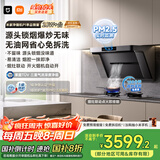 米家小米抽吸油烟机净烟机P1国家补贴以旧换新大吸力一级能效上门安装【天然气烟灶套装】免拆洗MJ04CY