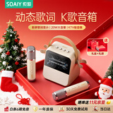 索爱（soaiy）GC200PRO歌词蓝牙音箱k歌话筒麦克风一体式用家庭儿童唱歌ktv音响男女生日伴手圣诞礼物 礼盒版