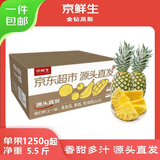 京鲜生海南金钻凤梨净重5.5斤单果1250g起 树上熟新鲜水果源头直发包邮