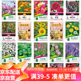 花沃里20款花种子套餐 花卉种子组合太阳花凤仙花向日葵四季种野花