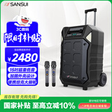 山水（SANSUI）户外K歌专用广场舞拉杆音响室外演出大功率重低音带无线麦克风15英寸 D15电木吉他民谣乐器音箱