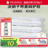 罗莱家纺 枕头枕芯脊椎枕 100%全棉决明子荞麦花草护颈低枕 46*72
