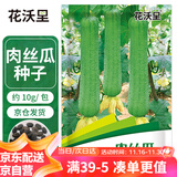 花沃里肉丝瓜种子约10g/包 香丝瓜蔬菜种子四季菜籽阳台盆栽庭院田间种
