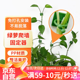 漫生活绿萝固定器绿植免钉贴墙自粘式挂钩园艺藤蔓植物攀爬夹子中号30个