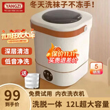 YANGZI扬子集团半全自动迷你洗衣机小型洗脱一体 内衣内裤洗衣机学生宿舍 婴儿洗袜子机带脱水租房半自动 升级款12L白【蓝光+CLE深度清洁+低音净洗】