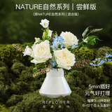 花点时间（Reflower）自然系列尝鲜版每周一花包月鲜切花束结婚圣诞生日礼物女送老婆 【主推】包年12束-每月1束 周一至周二送达（周五17点前下单）