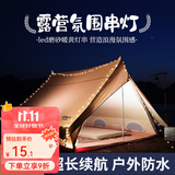 原始人（The Primitive） 户外露营灯野营照明氛围天幕帐篷灯串led超长续航装饰用品串灯带 6米40灯-白色圆球（电池款）