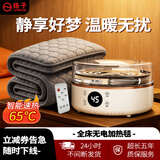 扬子水暖毯电热毯水循环加热坐垫电褥子单人双人无辐射孕婴智能恒温 智能触控2.0*1.8M