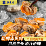 壮元海 大连海鲜赤贝肉3斤/6袋新鲜现剥毛蚬子肉血蛤肉新鲜无沙源头直发