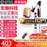 鸿益德艾灸仪器一体机无烟家用熏蒸仪美容院全身温养理疗仪烤电艾炙灯 金色语音旗舰款-十二核加热+热炙温控