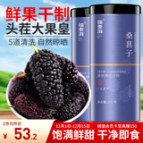福东海 桑葚子500克（250g*2瓶）【大果皇】精选无沙桑椹即食泡水泡酒 