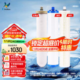 道尔顿（Doulton）【英国原装进口】D-IP301净水器专用滤芯套装 M12UCC（2504型）陶瓷+KDF活性炭+PF精梳棉