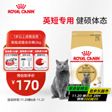 皇家猫粮 英短成猫粮 BS34 通用粮 12月以上 2KG