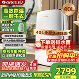 格力（GREE）【轻音干衣除湿】除湿机家用抽湿机40升/天低噪除潮防霉吸湿抽湿器智能控湿单间≤80㎡DH40EF