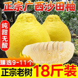 趣觅鲜正宗容县沙田柚产地直发广西特产纯甜无酸老树白肉柚子新鲜水果 18斤净重大果9-11个礼盒装