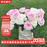 京东鲜花【粉色加白色】玫瑰各10枝如意基地鲜花插花生活礼品花束源头直发