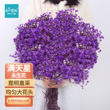 匠心绽放满天星干花花束永生花真花礼物实用送女友高端家居摆件紫色20273