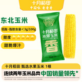十月稻田 水果甜玉米 1根 220g 真空开袋即食 低脂早餐