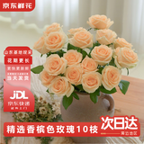 京东鲜花【蜜桃雪山】玫瑰花10枝如意基地鲜切花插花生活花束送礼源头直发