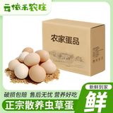 云依禾农庄鸡蛋农家散养土鸡蛋 山林草鸡蛋新鲜现捡柴鸡蛋 单枚40g±5g 【散养土鸡蛋】50枚