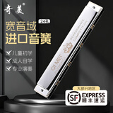 奇美口琴24孔专业演奏级口琴成人儿童初学C调口琴 【黑霸王】24孔复音口琴 流光银