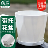 寿禾 花盆加厚绿植发财树种植盆家庭阳台园艺 木里盆中号-浅灰