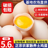 百味殿散养土鸡蛋 谷物蛋初生鲜鸡蛋 农家山林谷物喂养笨鸡蛋柴鸡蛋 8枚 单枚40g±5g