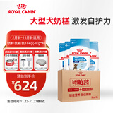 皇家狗粮 幼犬狗粮 幼犬奶糕宠物大型犬MAJ30全价犬粮2-15月4KG*4