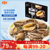 金唐鲜冻大鲍鱼净重500g/ 10头鲍 带壳鲍鱼肉 贝类海鲜生鲜火锅烧食材
